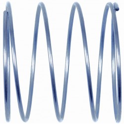Bezel Spring (p)